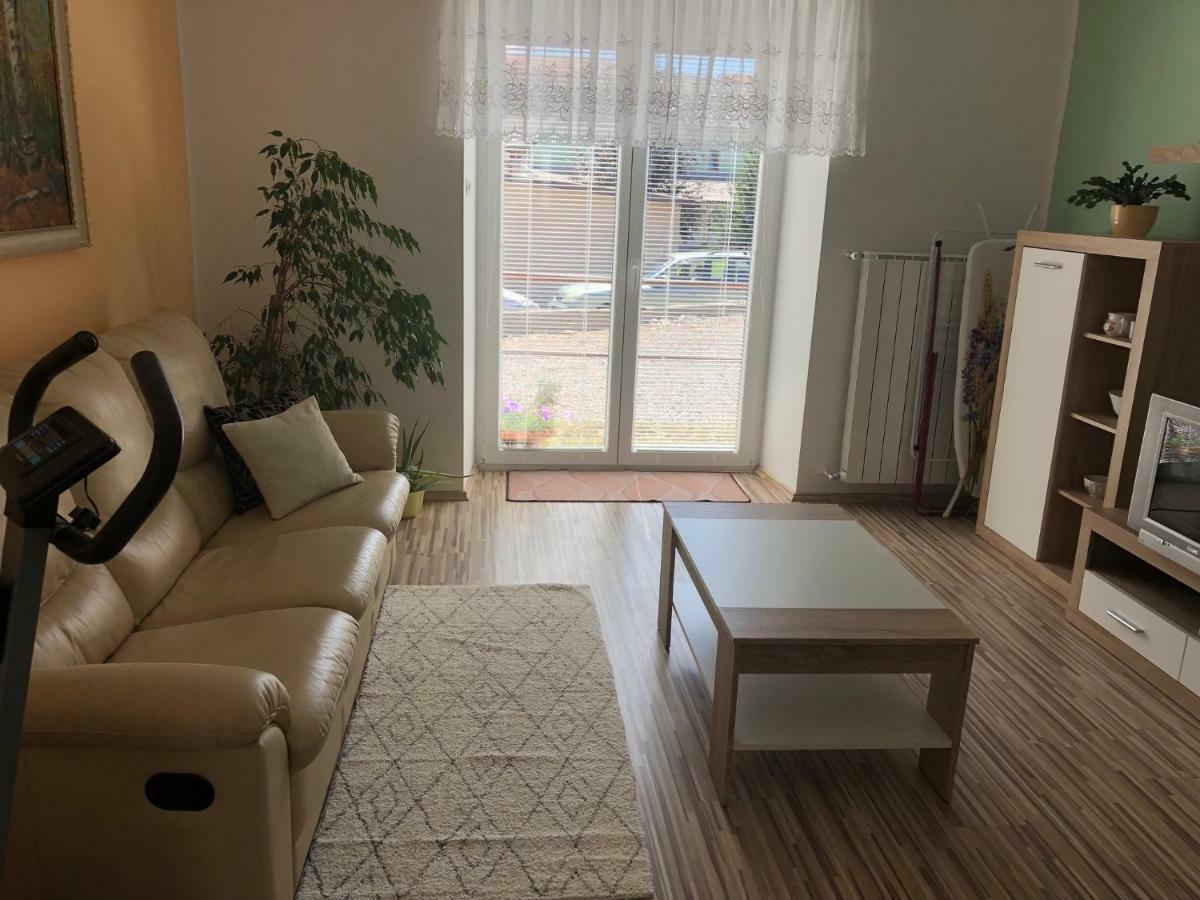 Apartma Mahnic Postojna Exterior photo